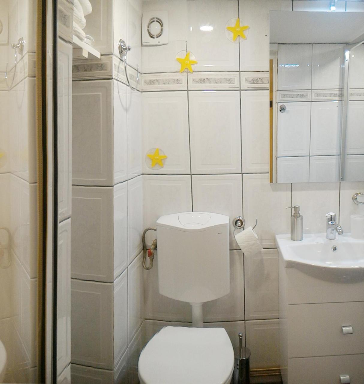 Republicii Rustic Apartament In Brasov City Center מראה חיצוני תמונה